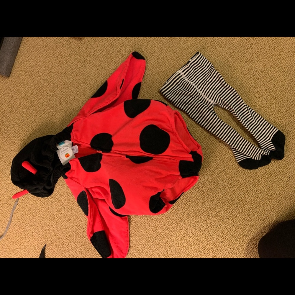 Lady bug Halloween costume